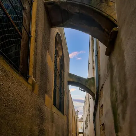 La Terrasse Du Palais * Metz